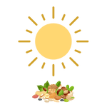 sundried organic dry fruits